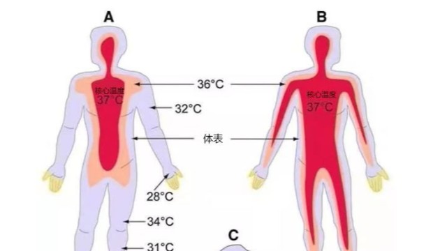 工业红外测温仪-便携式热成像测温仪能用于体温检测吗？